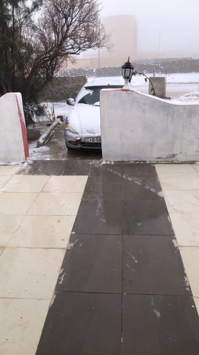 مشاركاتي في أنت الراصد