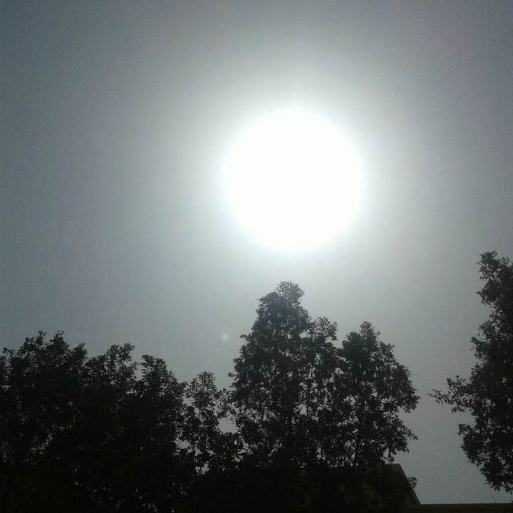 مشاركاتي في أنت الراصد