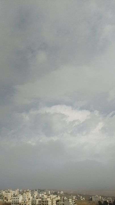 مشاركاتي في أنت الراصد