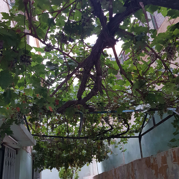 My Crowdsourcing Posts