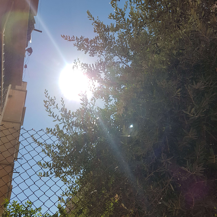 My Crowdsourcing Posts