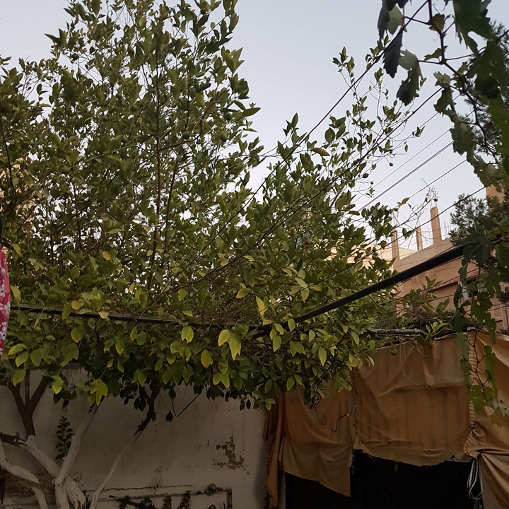 My Crowdsourcing Posts