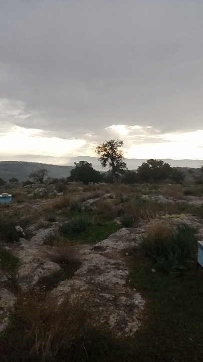 مشاركاتي في أنت الراصد