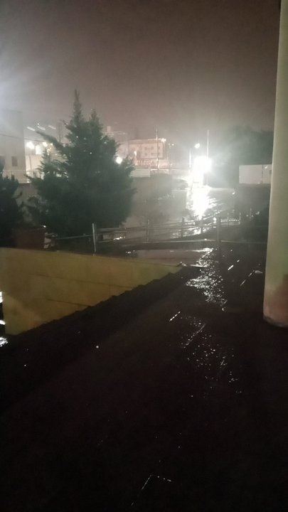 مشاركاتي في أنت الراصد