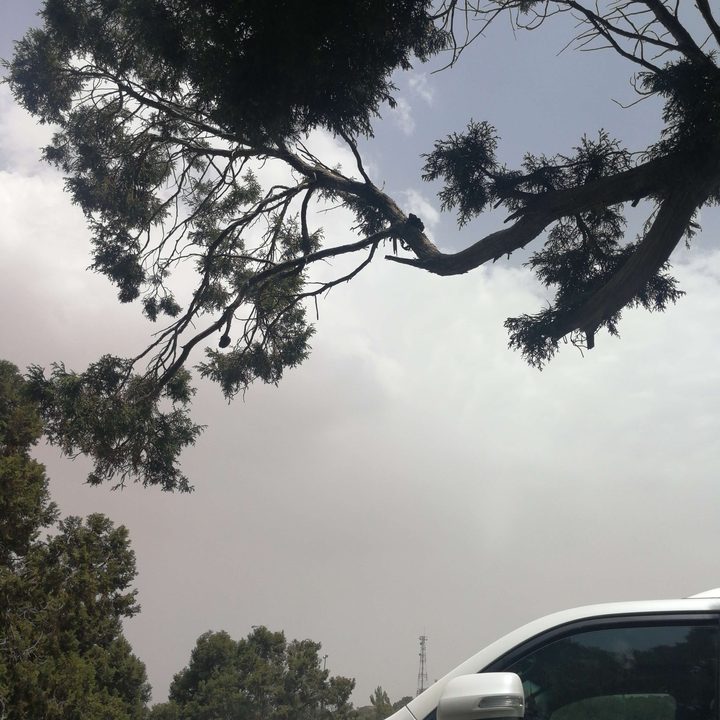 مشاركاتي في أنت الراصد