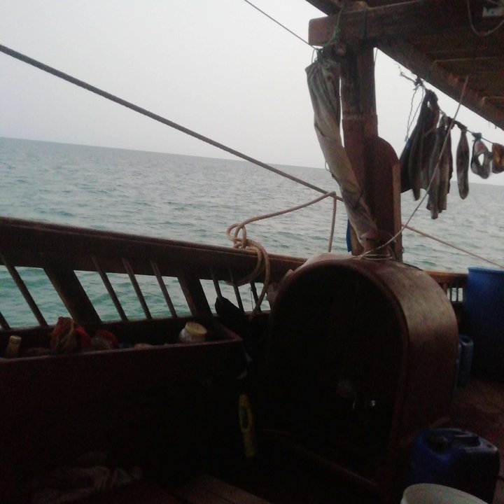 مشاركاتي في أنت الراصد