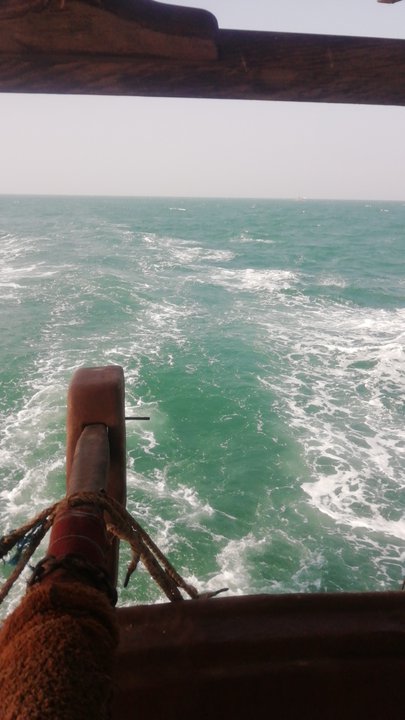 Mes publications Crowdsourcing