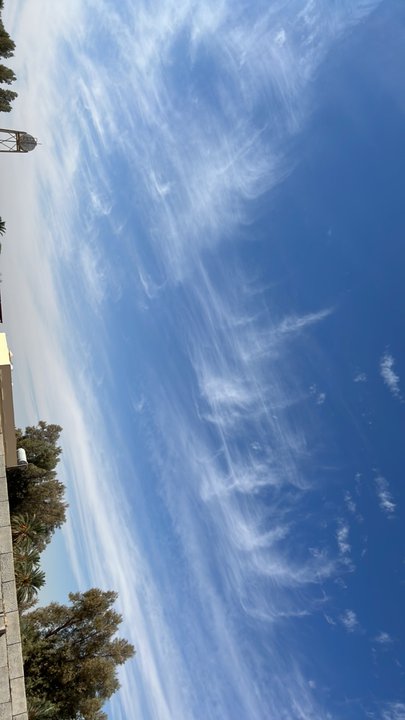 مشاركاتي في أنت الراصد