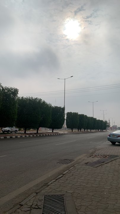 مشاركاتي في أنت الراصد