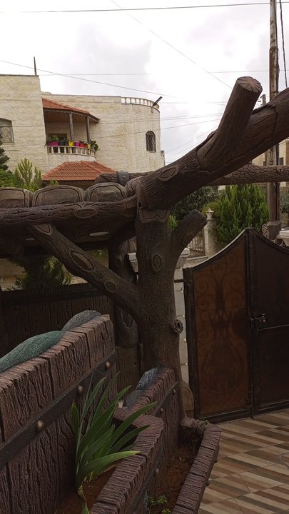 مشاركاتي في أنت الراصد