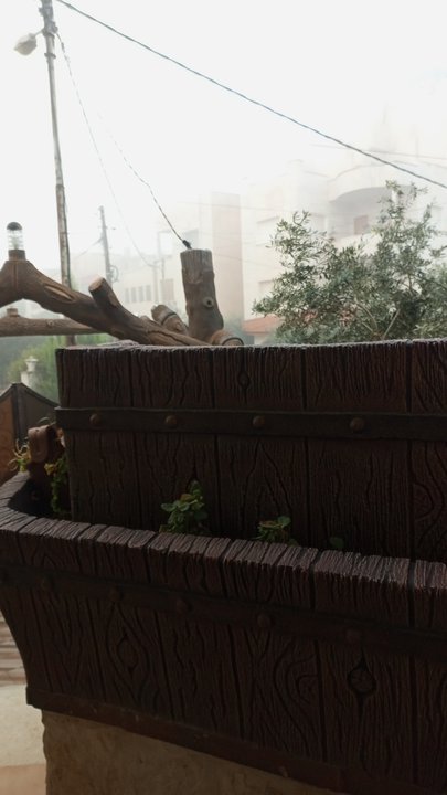 مشاركاتي في أنت الراصد