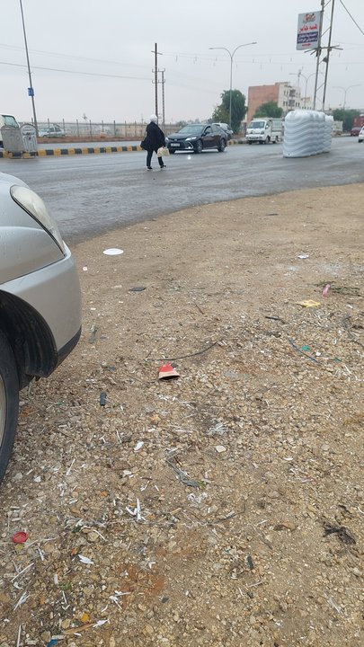 مشاركاتي في أنت الراصد