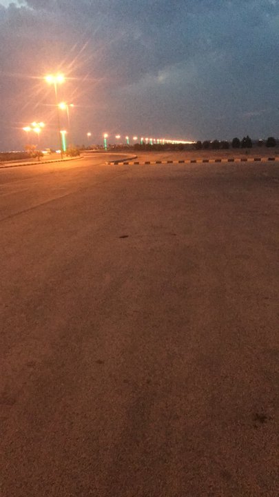 مشاركاتي في أنت الراصد