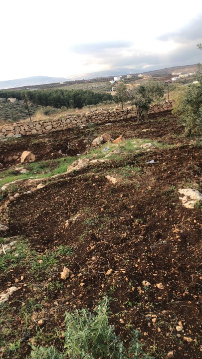 مشاركاتي في أنت الراصد