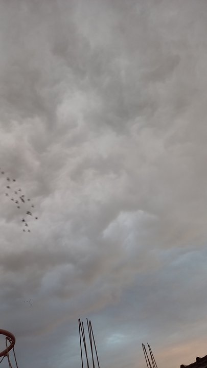 مشاركاتي في أنت الراصد