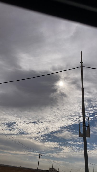 مشاركاتي في أنت الراصد