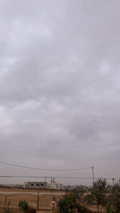 مشاركاتي في أنت الراصد