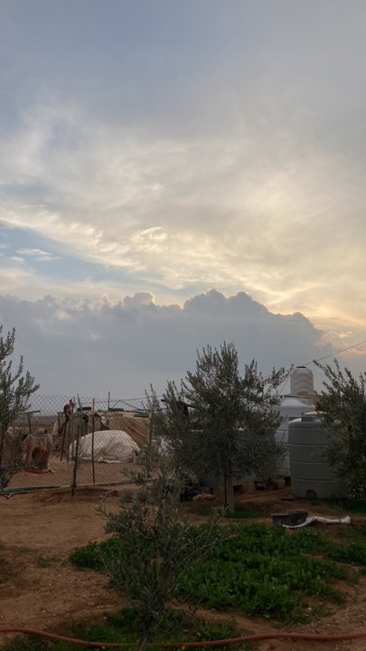 مشاركاتي في أنت الراصد