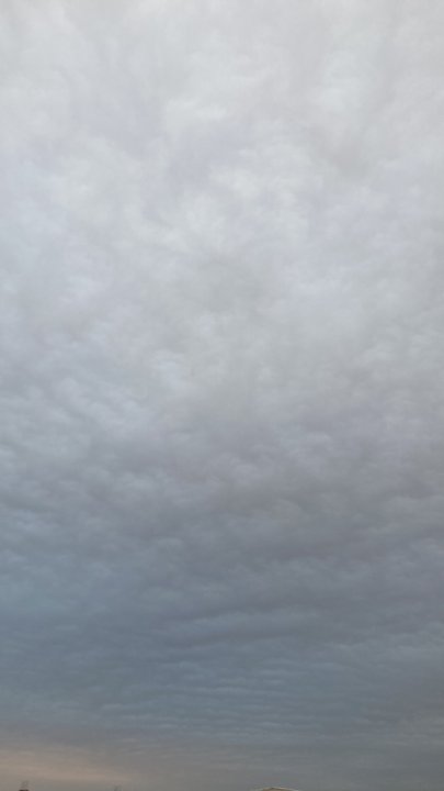 Mes publications Crowdsourcing