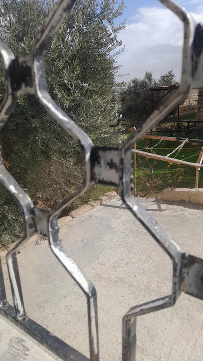 مشاركاتي في أنت الراصد