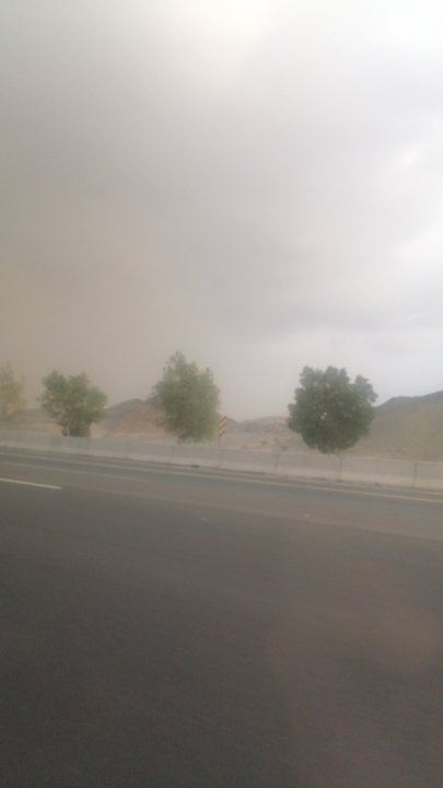 مشاركاتي في أنت الراصد