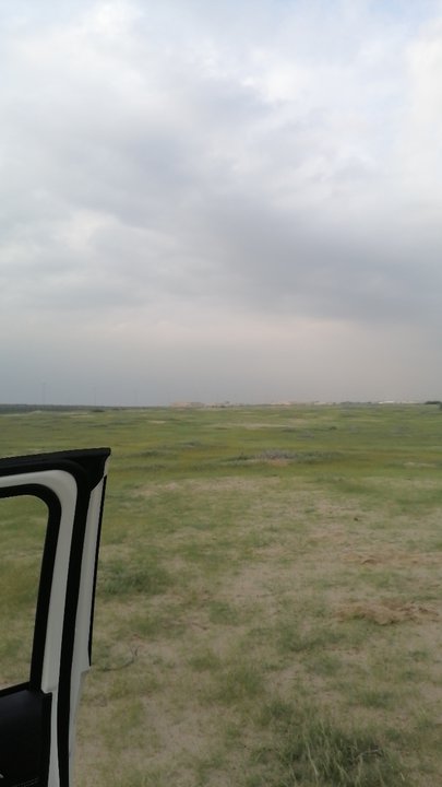 Mes publications Crowdsourcing