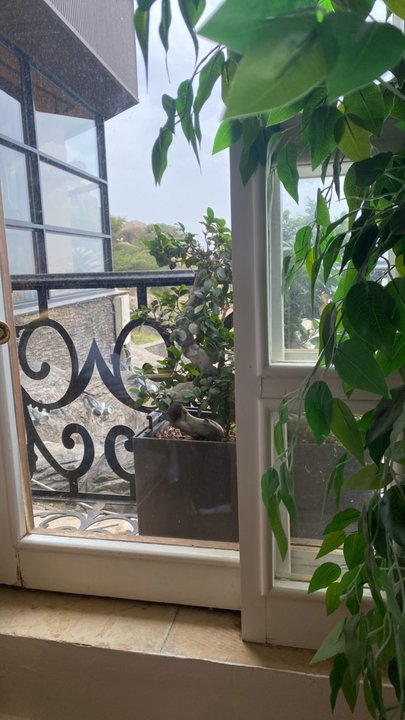 My Crowdsourcing Posts