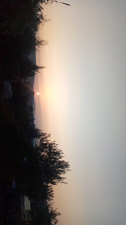 مشاركاتي في أنت الراصد