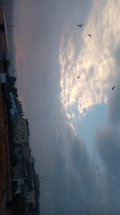 مشاركاتي في أنت الراصد