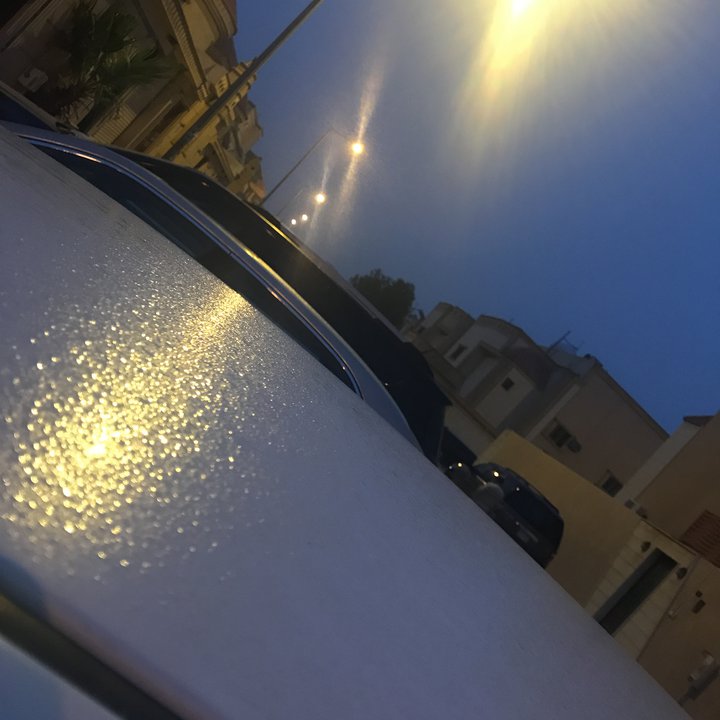 مشاركاتي في أنت الراصد