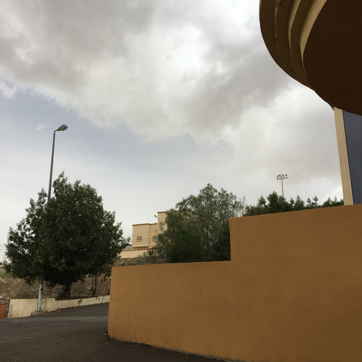 مشاركاتي في أنت الراصد