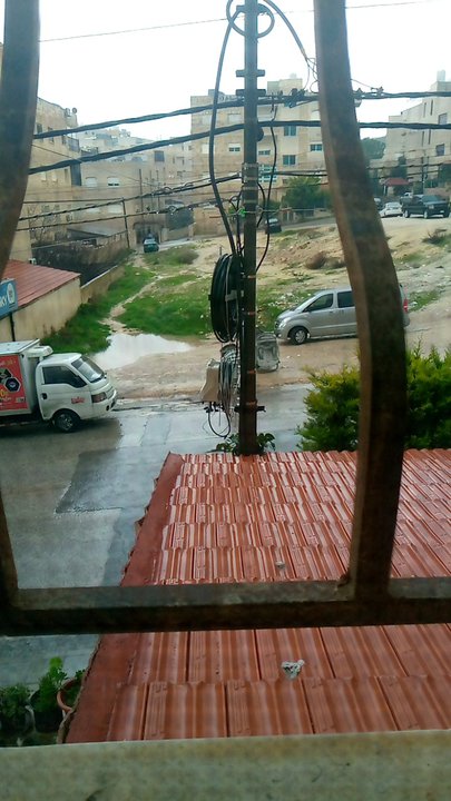 مشاركاتي في أنت الراصد