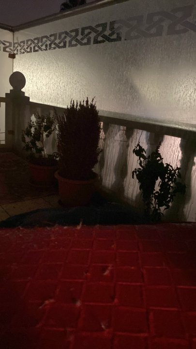 مشاركاتي في أنت الراصد