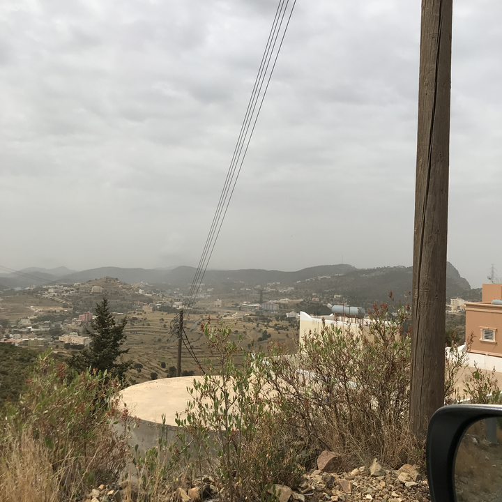 مشاركاتي في أنت الراصد