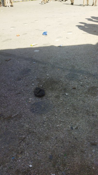 مشاركاتي في أنت الراصد