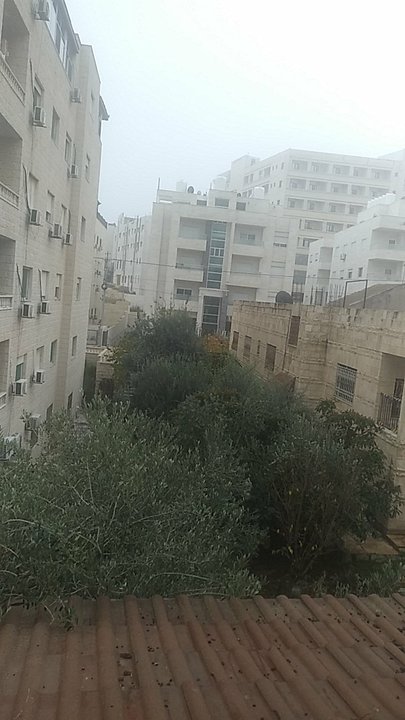 مشاركاتي في أنت الراصد