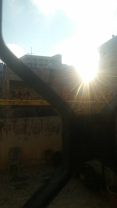 مشاركاتي في أنت الراصد