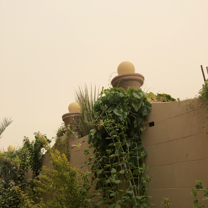 مشاركاتي في أنت الراصد