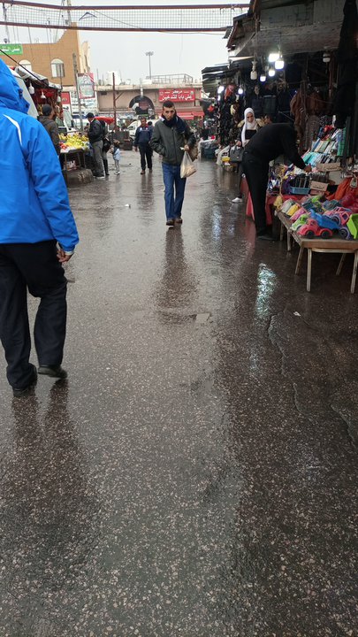 مشاركاتي في أنت الراصد