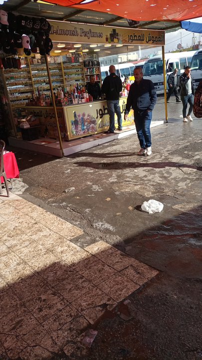 مشاركاتي في أنت الراصد