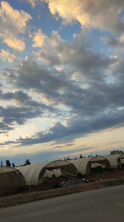 مشاركاتي في أنت الراصد