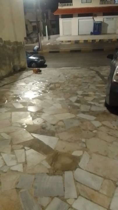 مشاركاتي في أنت الراصد