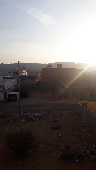 مشاركاتي في أنت الراصد