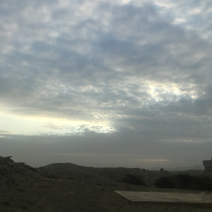 مشاركاتي في أنت الراصد