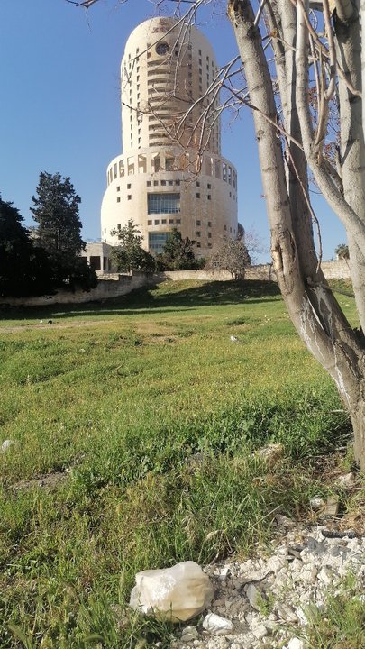 مشاركاتي في أنت الراصد