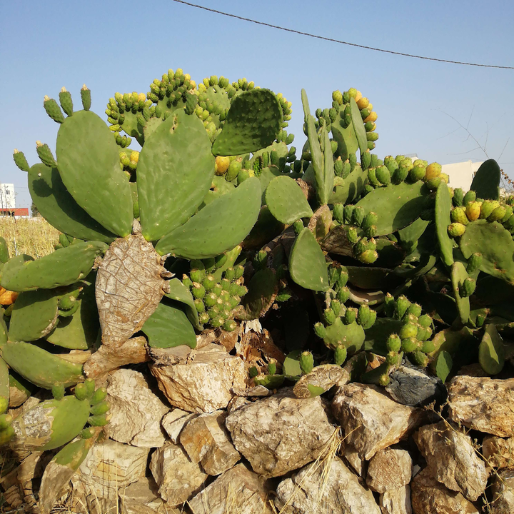 My Crowdsourcing Posts