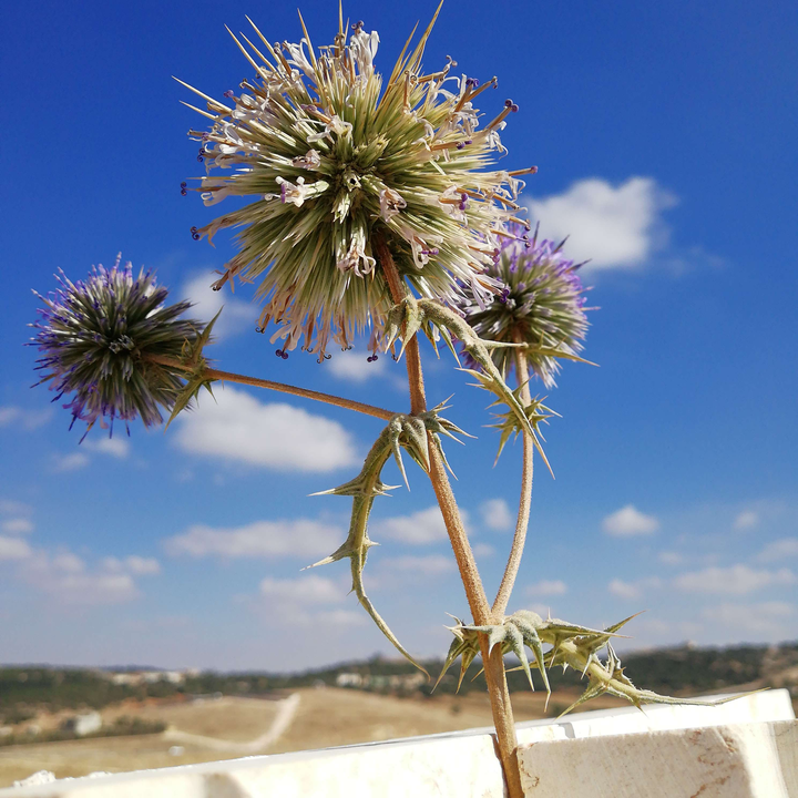 My Crowdsourcing Posts