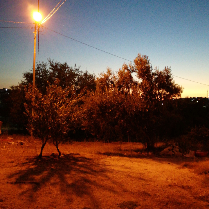 My Crowdsourcing Posts