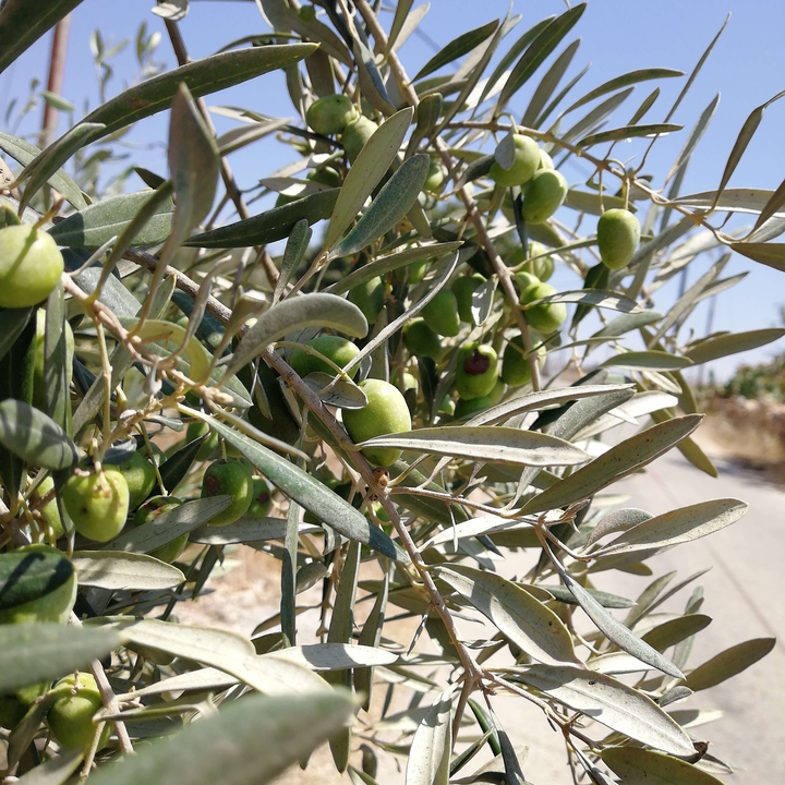 My Crowdsourcing Posts