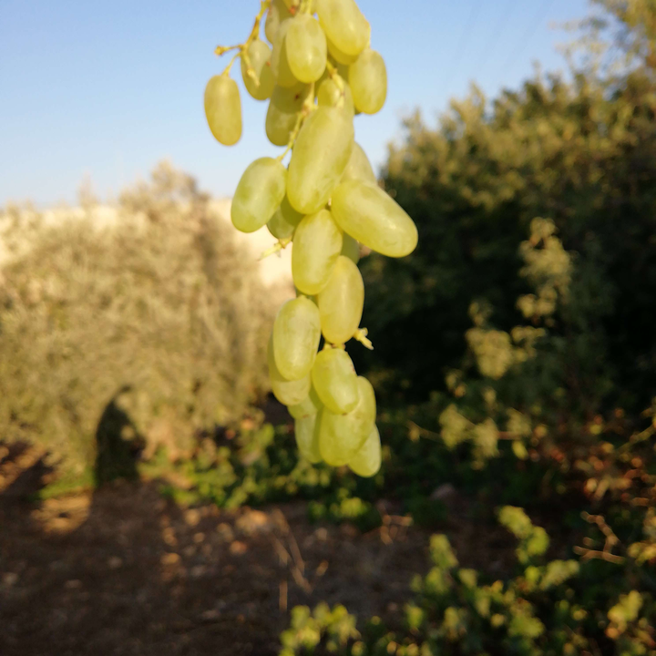 My Crowdsourcing Posts